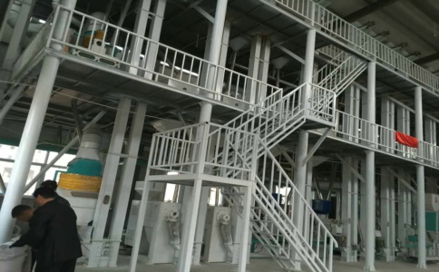 如何掌握玉米加工機械的喂料方式提高產量?(圖1) 玉米加工機械